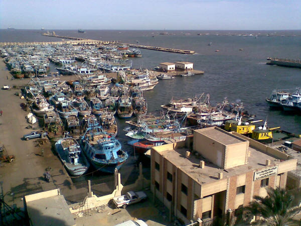 Port Said fishing harbour